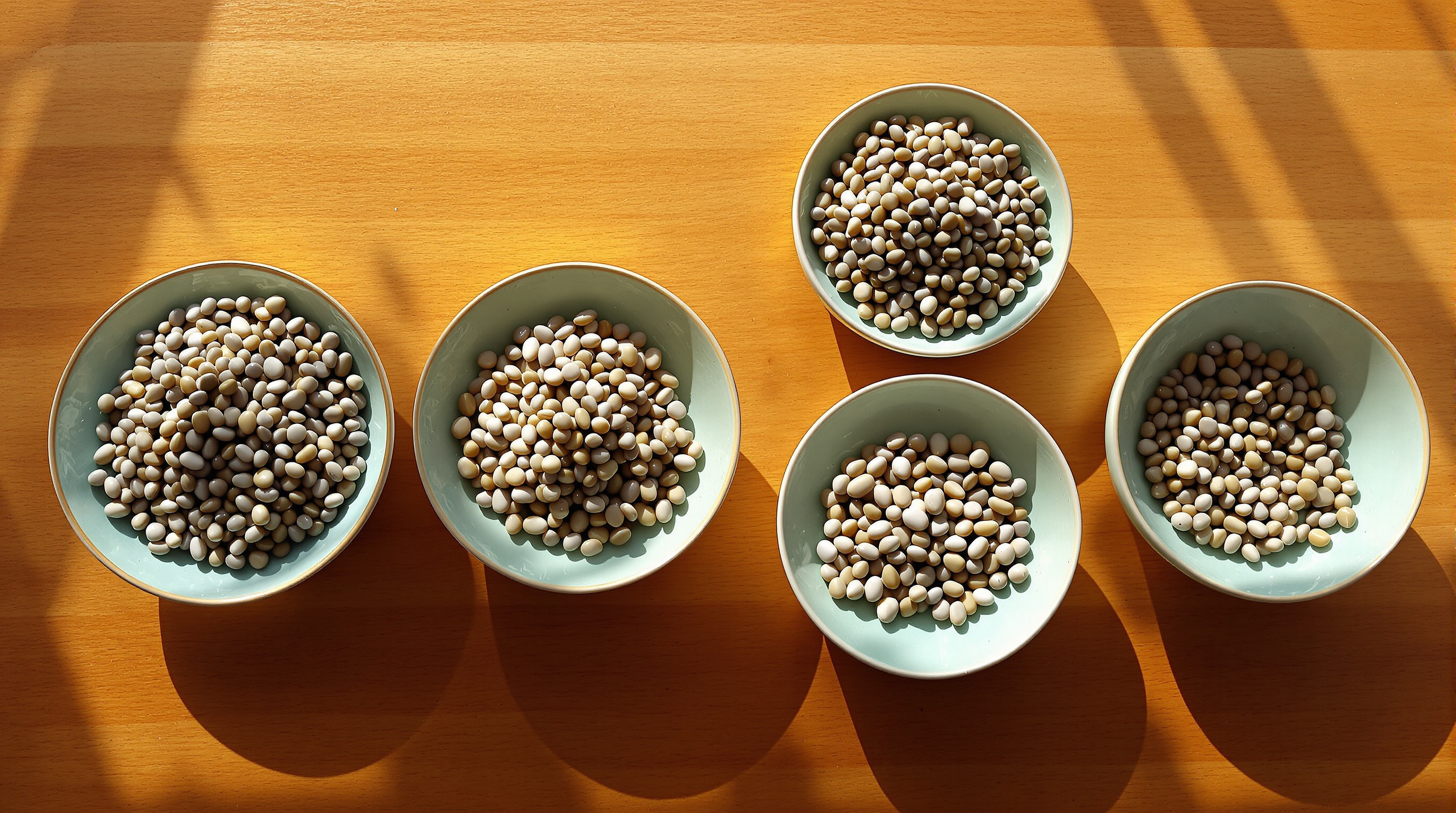 Five shallow celadon bowls of pale beans on a sunlit teak table, the two on the left heaped full and the others holding only a scattering