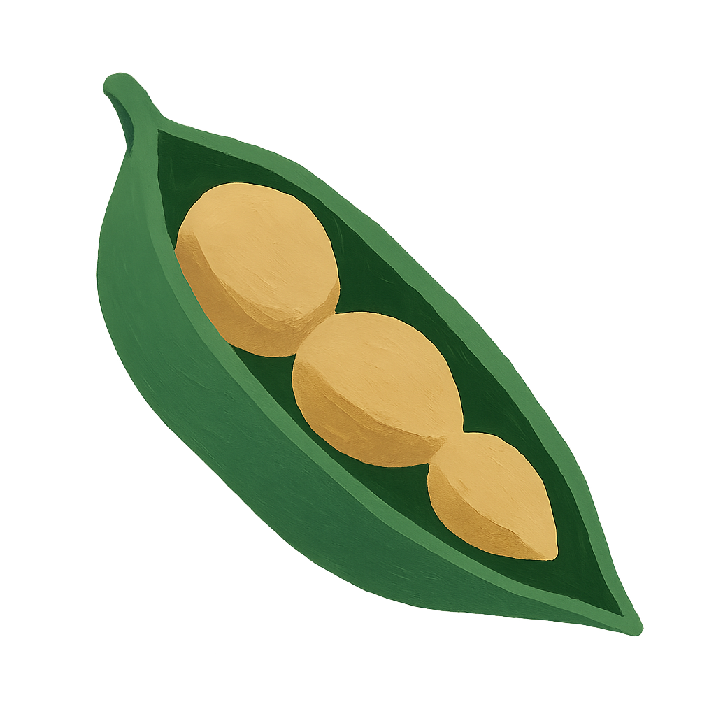 Gouache illustration of a single jade seed pod split open with three oat-coloured seeds inside, the first much larger than the other two